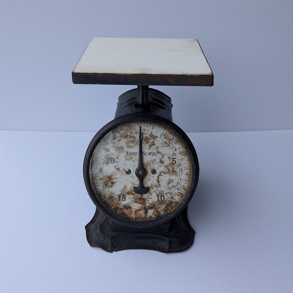Vintage 25lb Metal Dial Family Scale